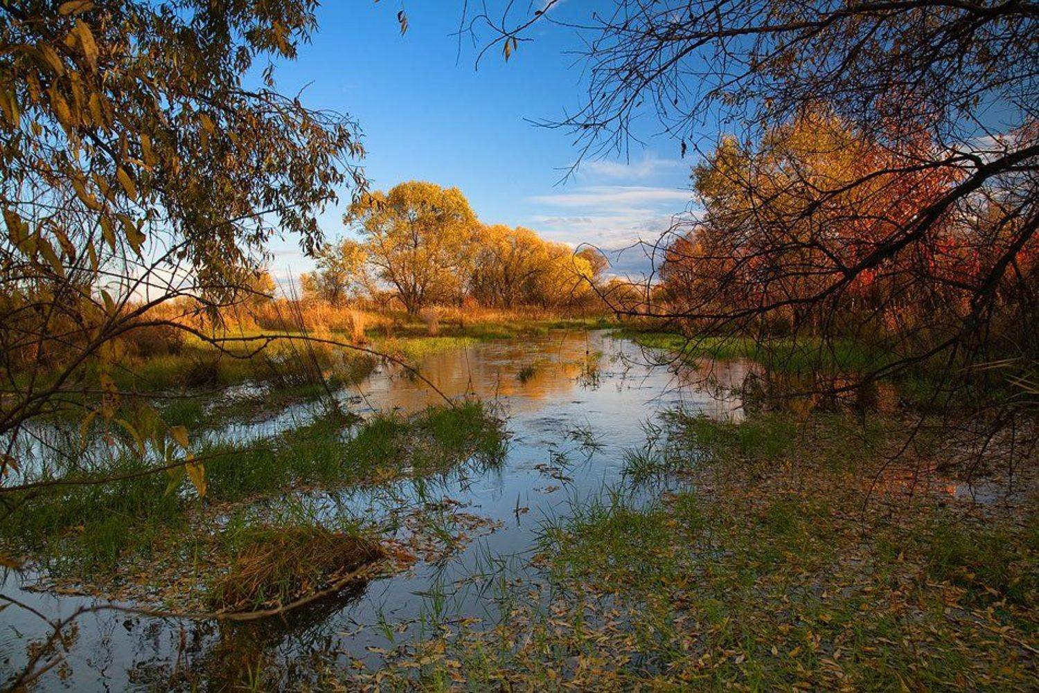 ***. Автор: photokate , photokate