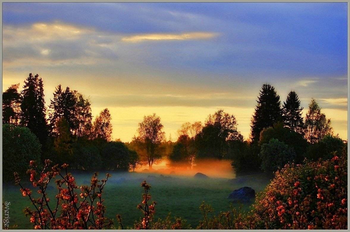 ... из моего окна. Автор: Елена швеция,скандинавия,пейзаж,природа, Елена