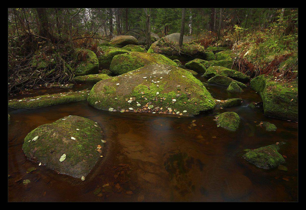 Соколиный камень 2. Автор: Vadim Balakin , Vadim Balakin
