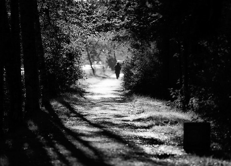 случайное солнечное утроphoto preview