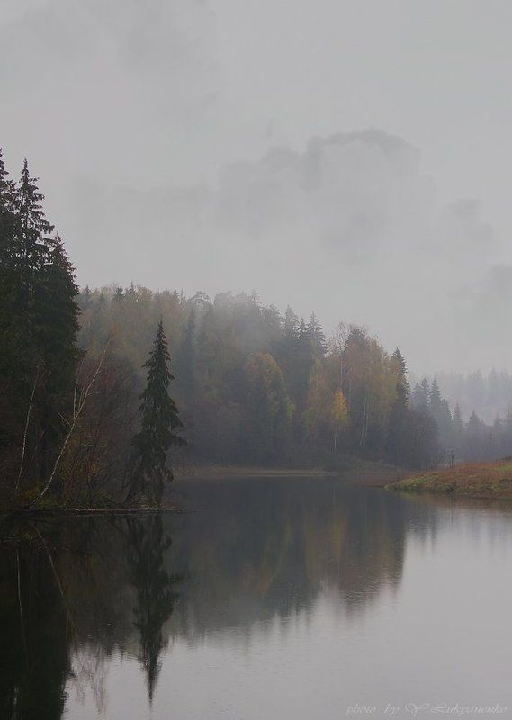 заоктябрило, осень, дождь, хмуро, лукьяненко Заоктябрило....photo preview