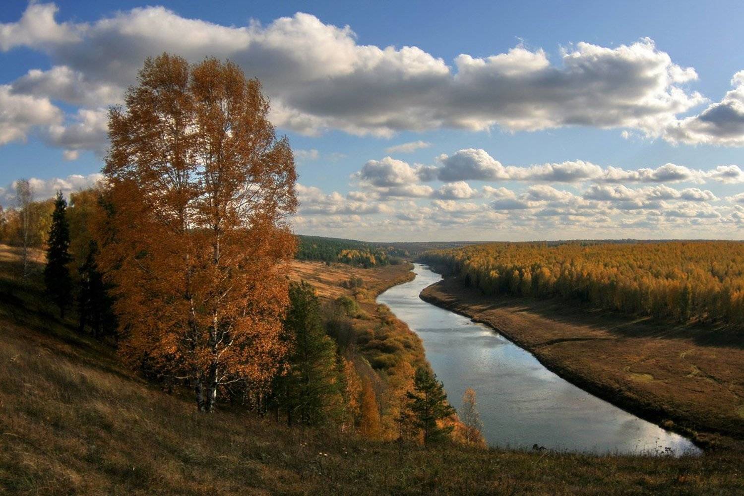 немда, осень, золото, Клековкин Александр