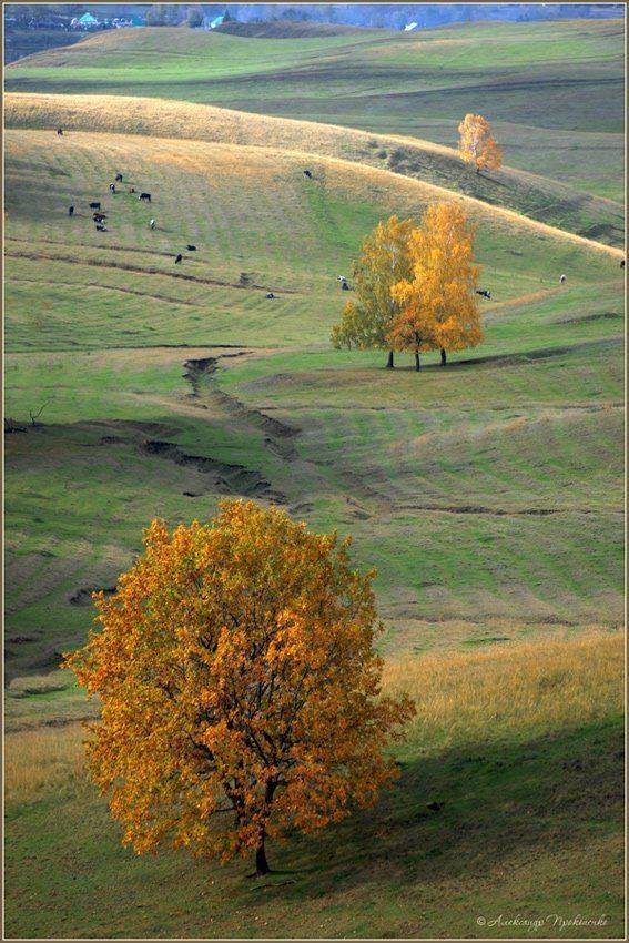 Три. Автор: Aleksandre , Aleksandre