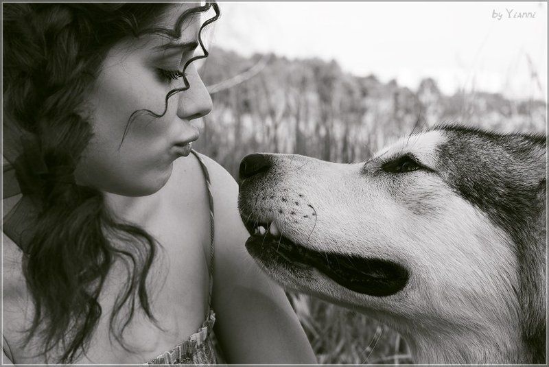 девушка, собака, чувства, преданность Чувстваphoto preview