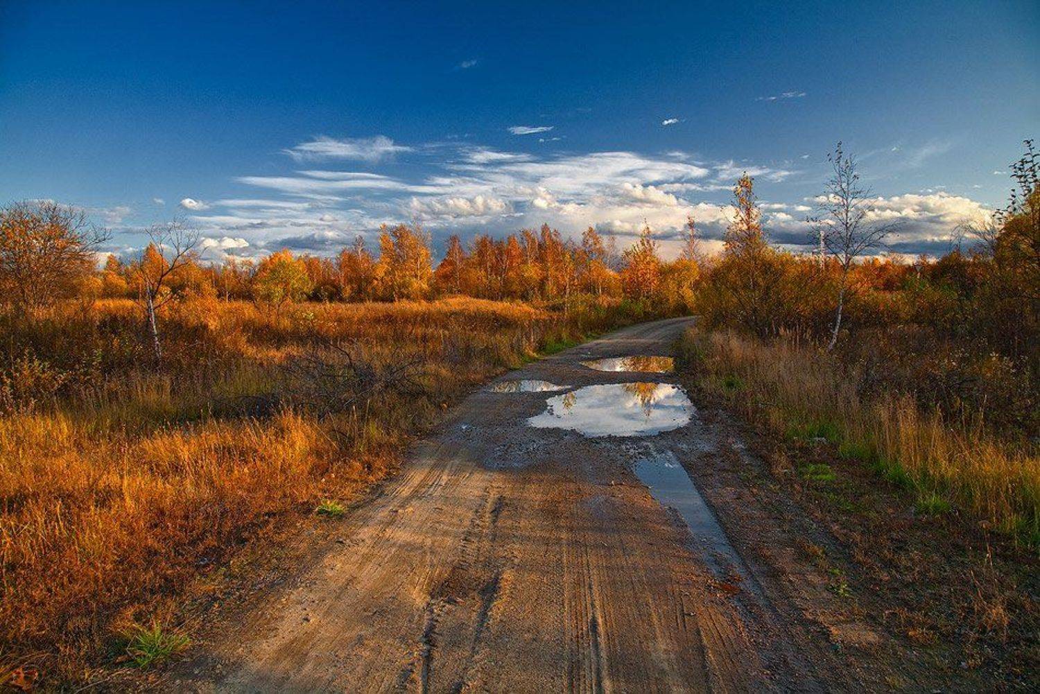 ***. Автор: photokate , photokate