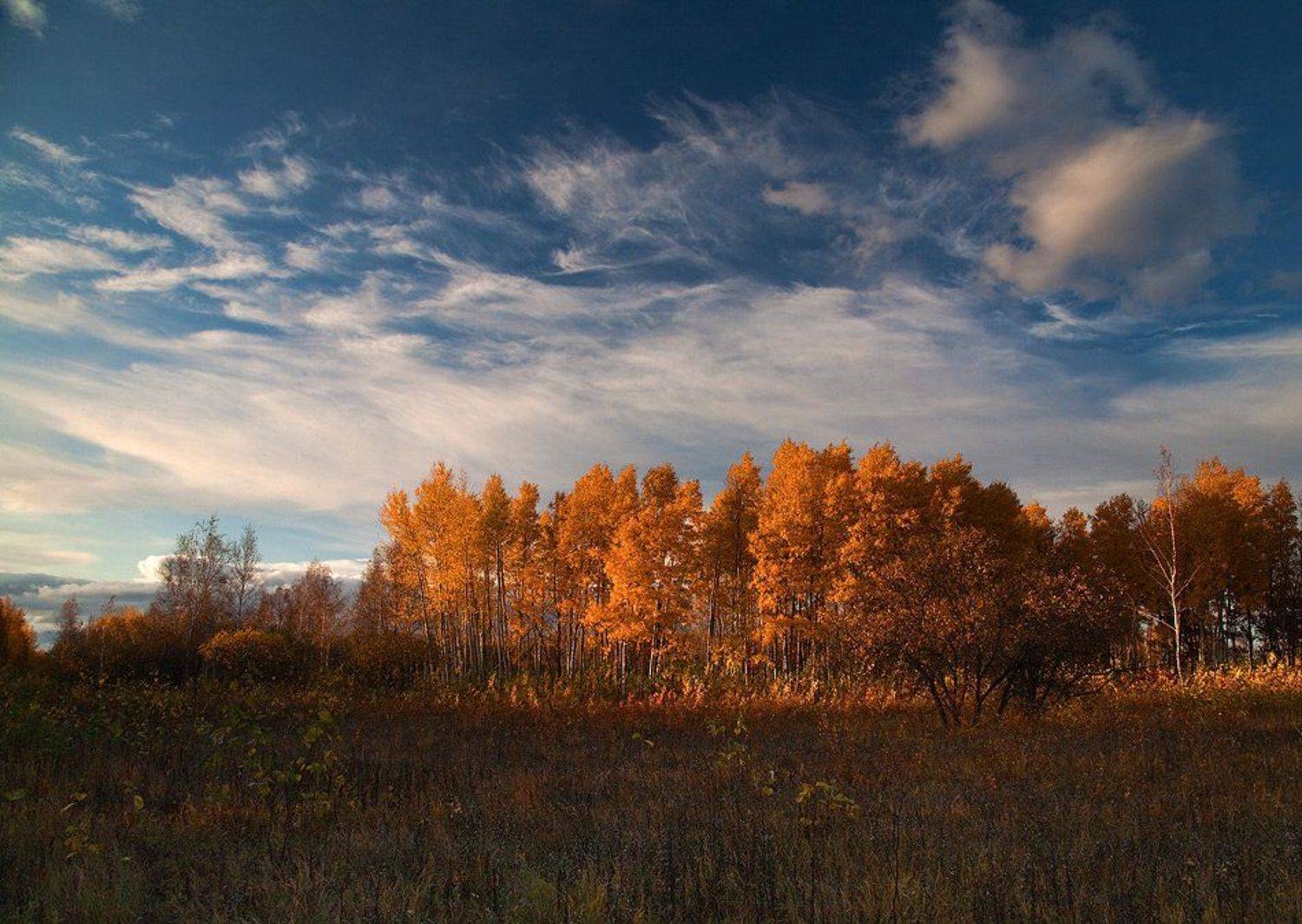 ***. Автор: photokate , photokate