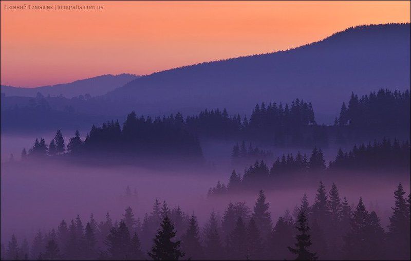 карпаты, пейзаж, горы, яблуница Туман в Яблуницеphoto preview