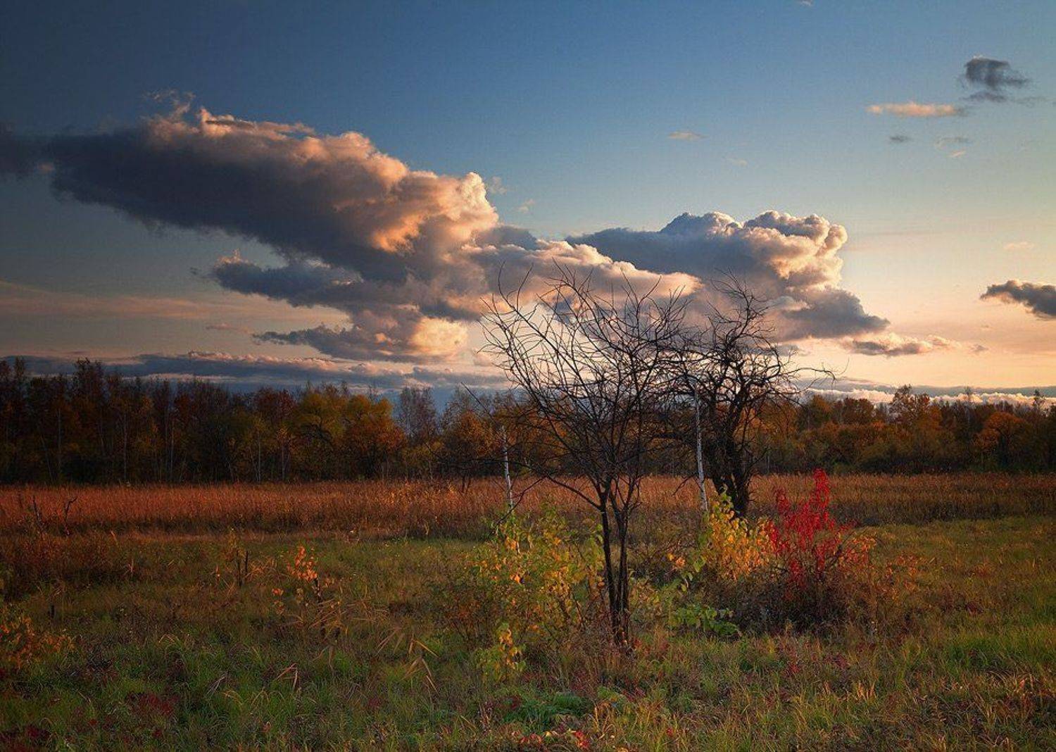 ***. Автор: photokate , photokate