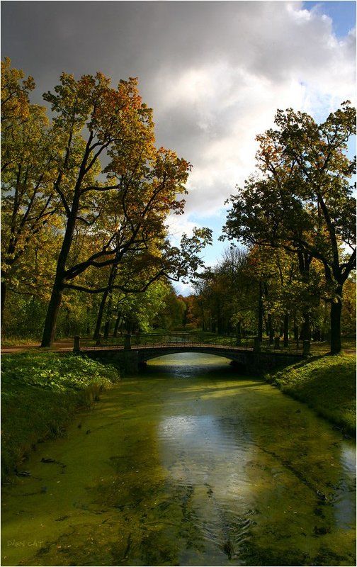 царское, село, парк, мостик, осень, погода Парковые зарисовкиphoto preview