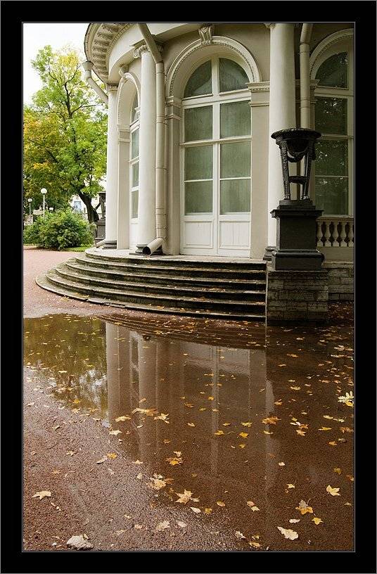 Осеннее. Автор: Kirill Shapovalov петербург, осень, Kirill Shapovalov