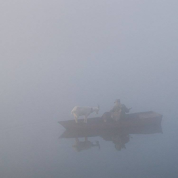 Дед Мазай и козы. Автор: Андрей Алексеев осень, рассвет, туман, лодка, мужик, козы, тишина, Андрей Алексеев