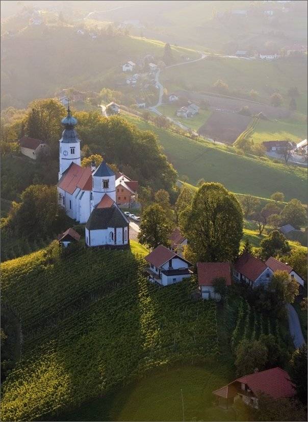 олими, Нетушки