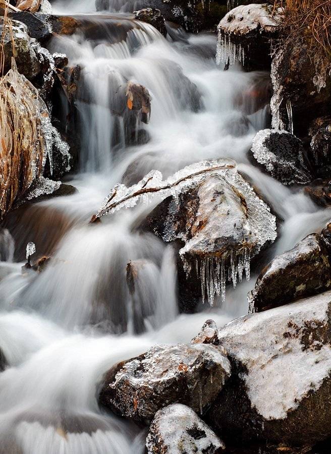 магадан, Sir Fisher