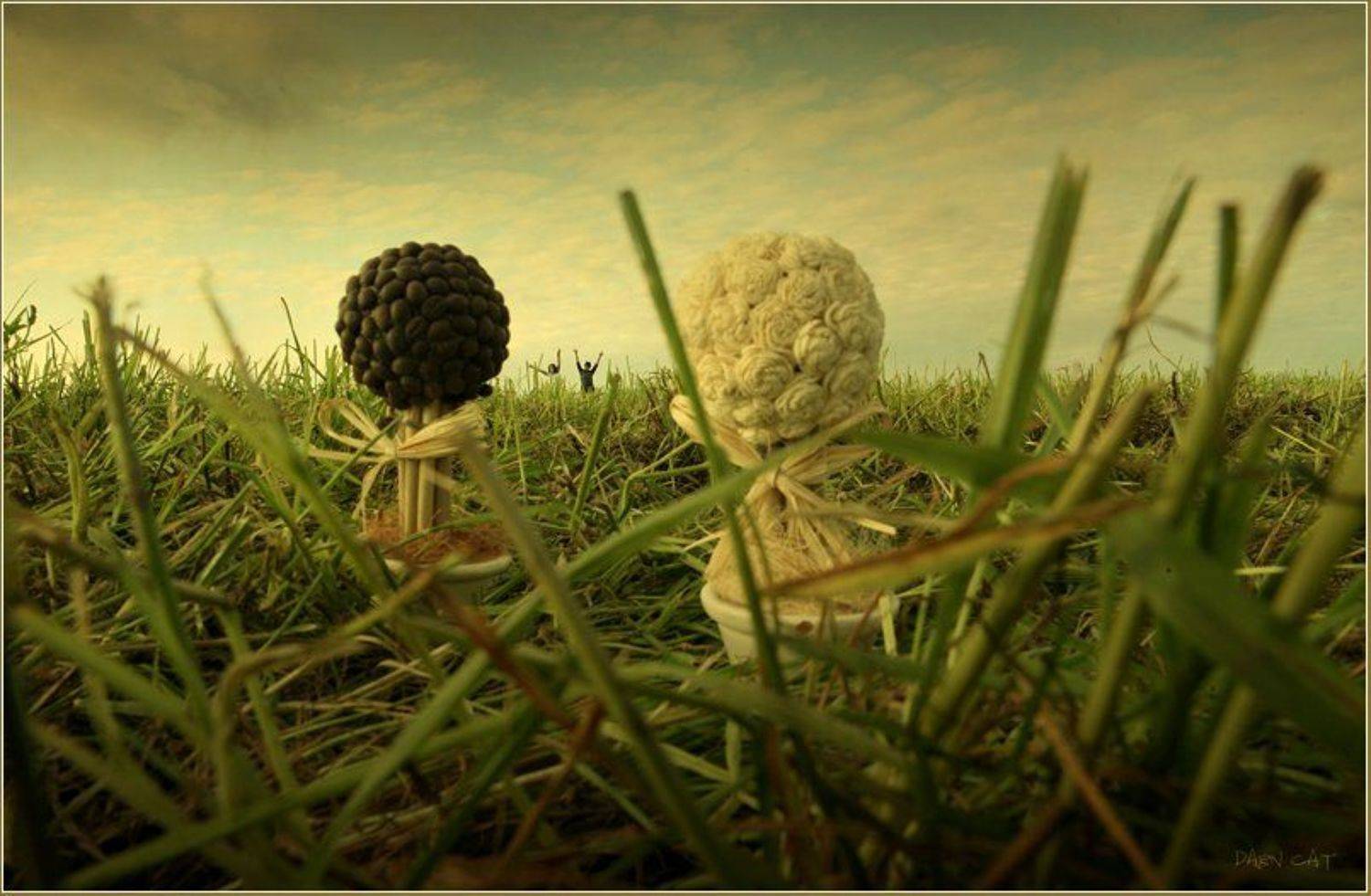 в, стране, лилипутов, деревья, сказка, травка, девушка, юноша, Darn Cat