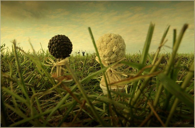 в, стране, лилипутов, деревья, сказка, травка, девушка, юноша В стране лилипутовphoto preview