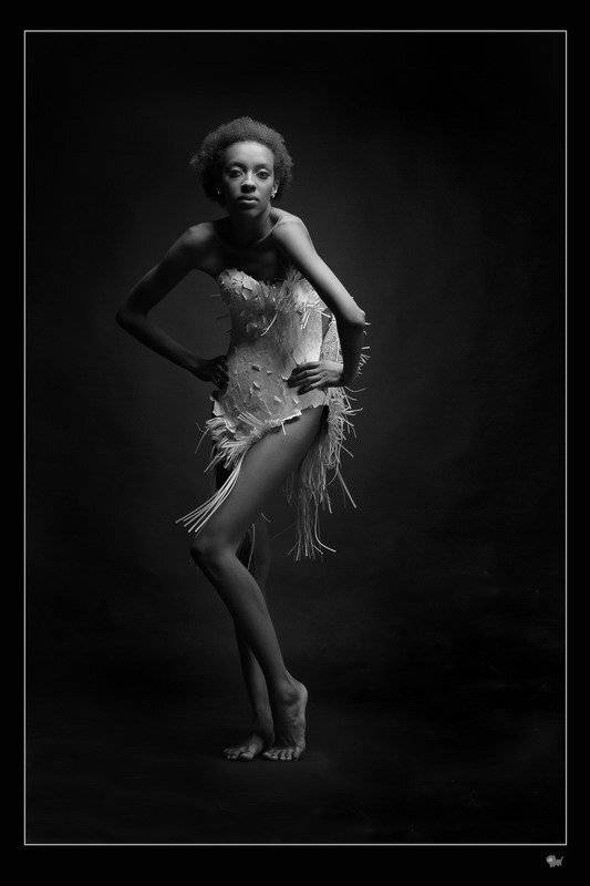 Цапля. Автор: yalokri орнтитологи, цапля, птица, студя, портрет, гламур, черно-белое, yalokri