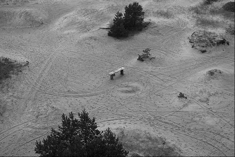 финский, залив Линии и дорогиphoto preview