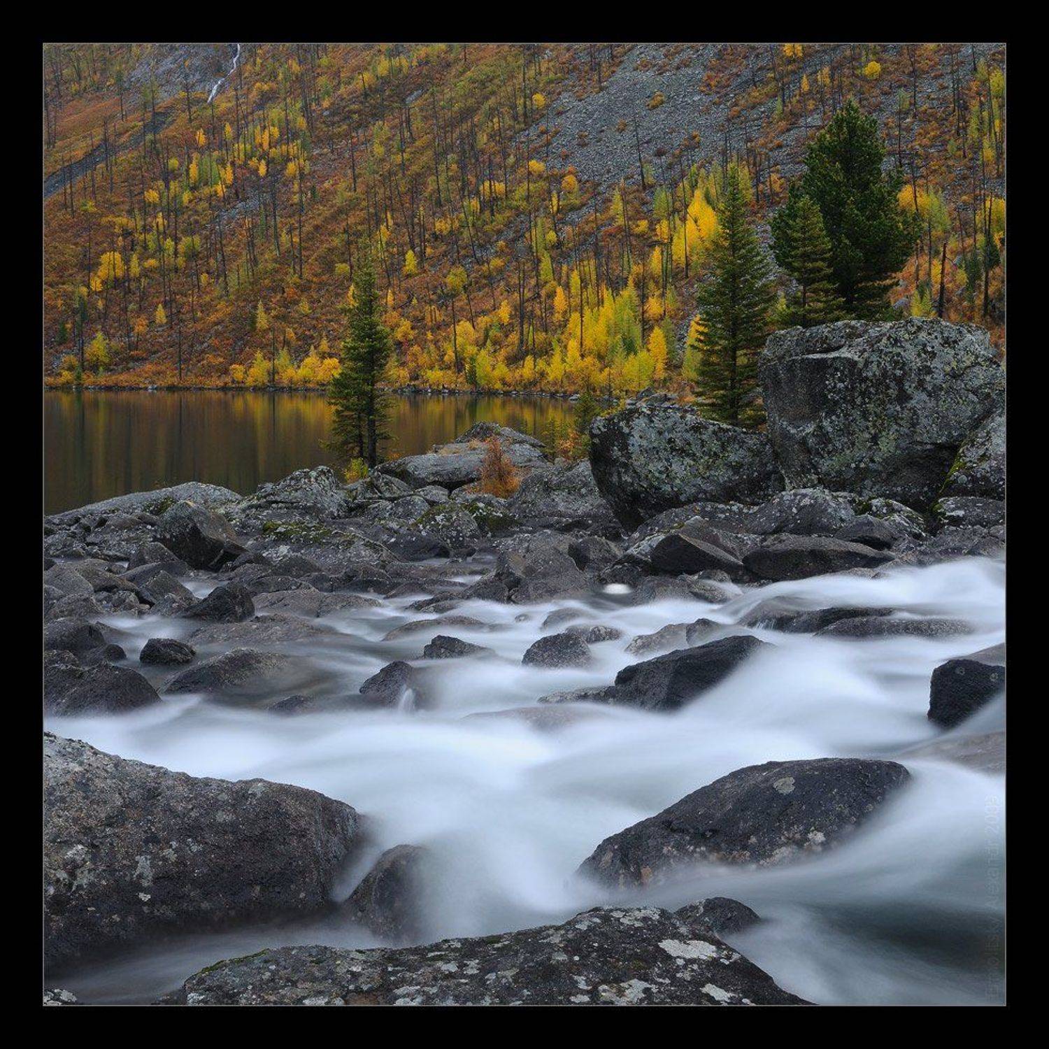 Шумы. Автор: Александр Ермолицкий алтай, мульта, водопад, шумы, озеро, нижнее мультинское, вода, камни, деревья, золотая осень, Александр Ермолицкий