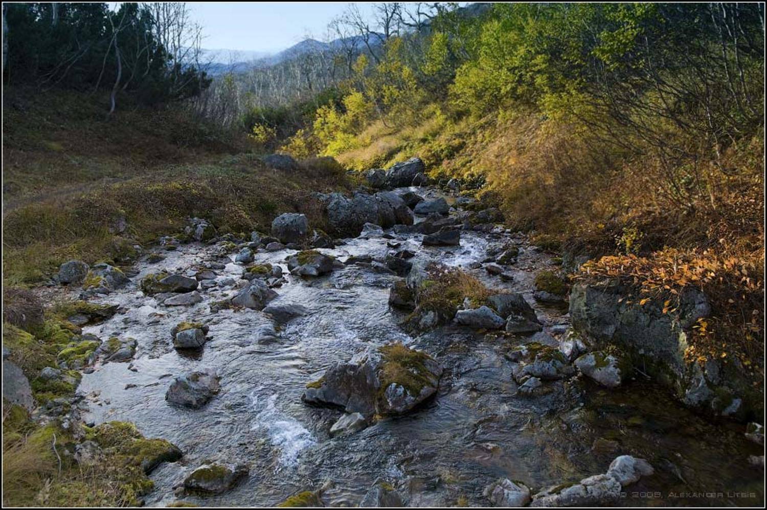 Горная речка. Автор: Александр Лицис ручей,речка,камни,осень,вачкажец,камчатка, Александр Лицис
