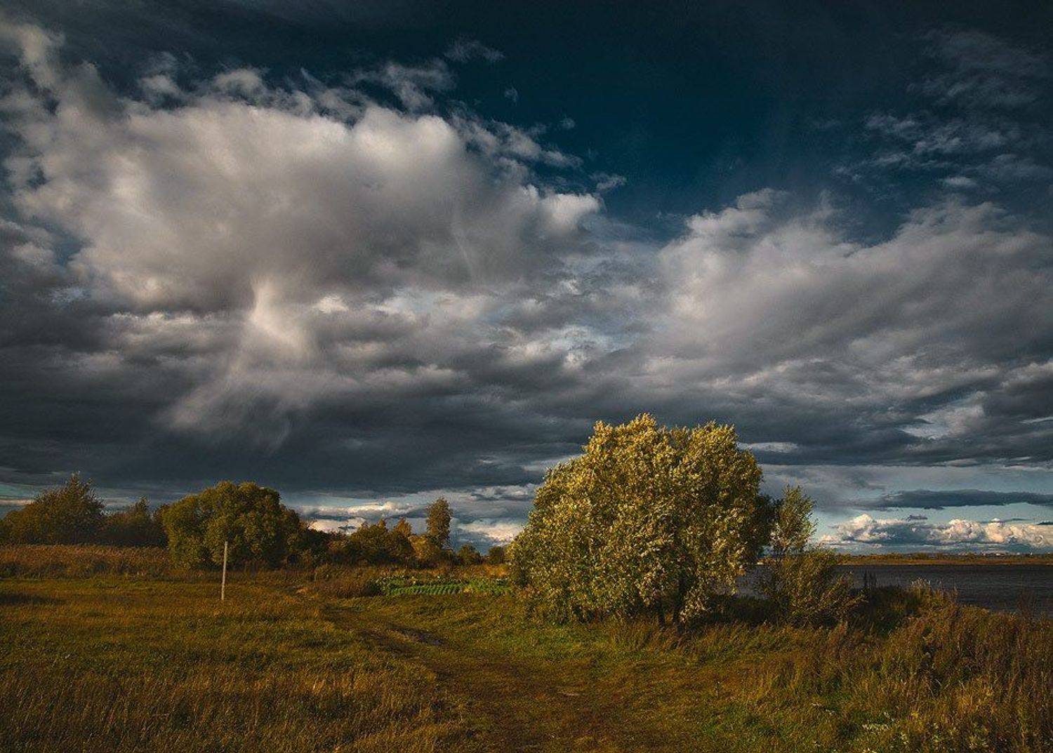 ***. Автор: photokate , photokate