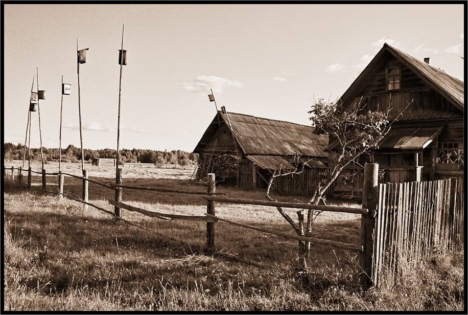 Скворечники. Автор: Лунный Ежик , Лунный Ежик