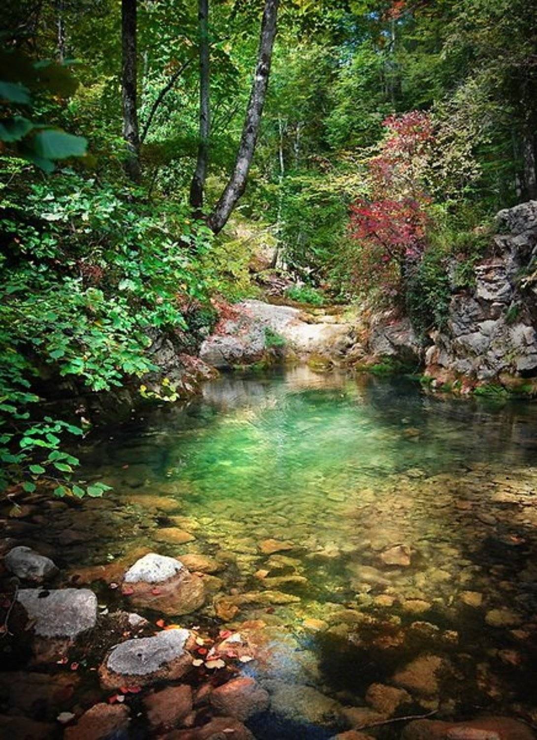 в каньоне. Автор: Лена , Лена