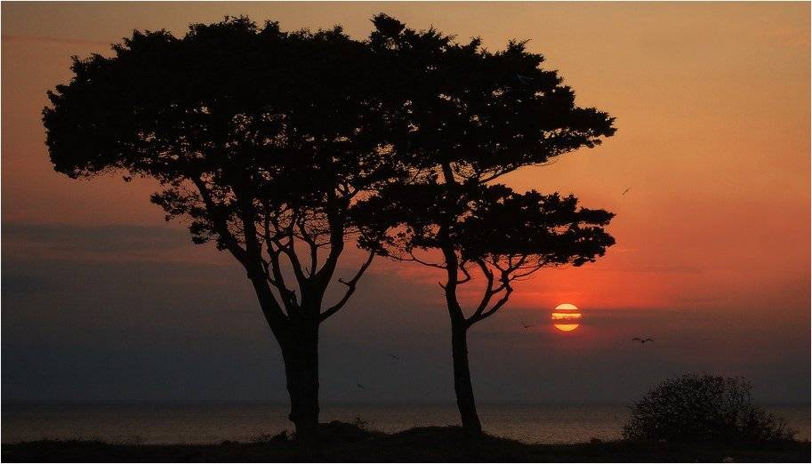 , Яна  Гайворонская