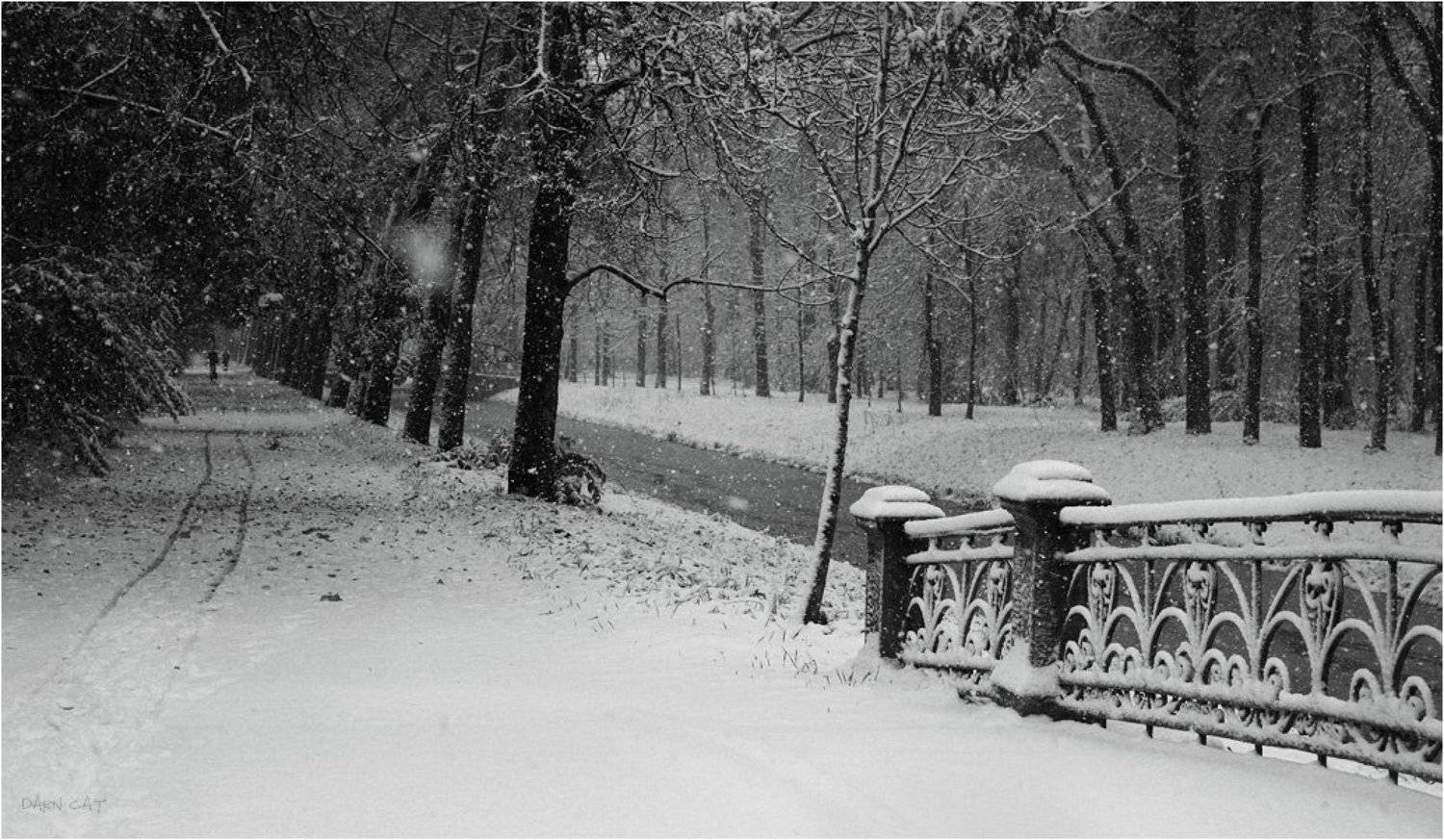 Заметая твои следы..... Автор: Darn Cat снег, парк, осень-зима, ограда, шаги, заметает, Darn Cat