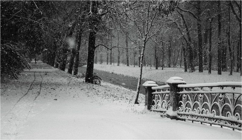снег, парк, осень-зима, ограда, шаги, заметает Заметая твои следы....photo preview