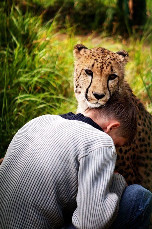 не уходиphoto preview