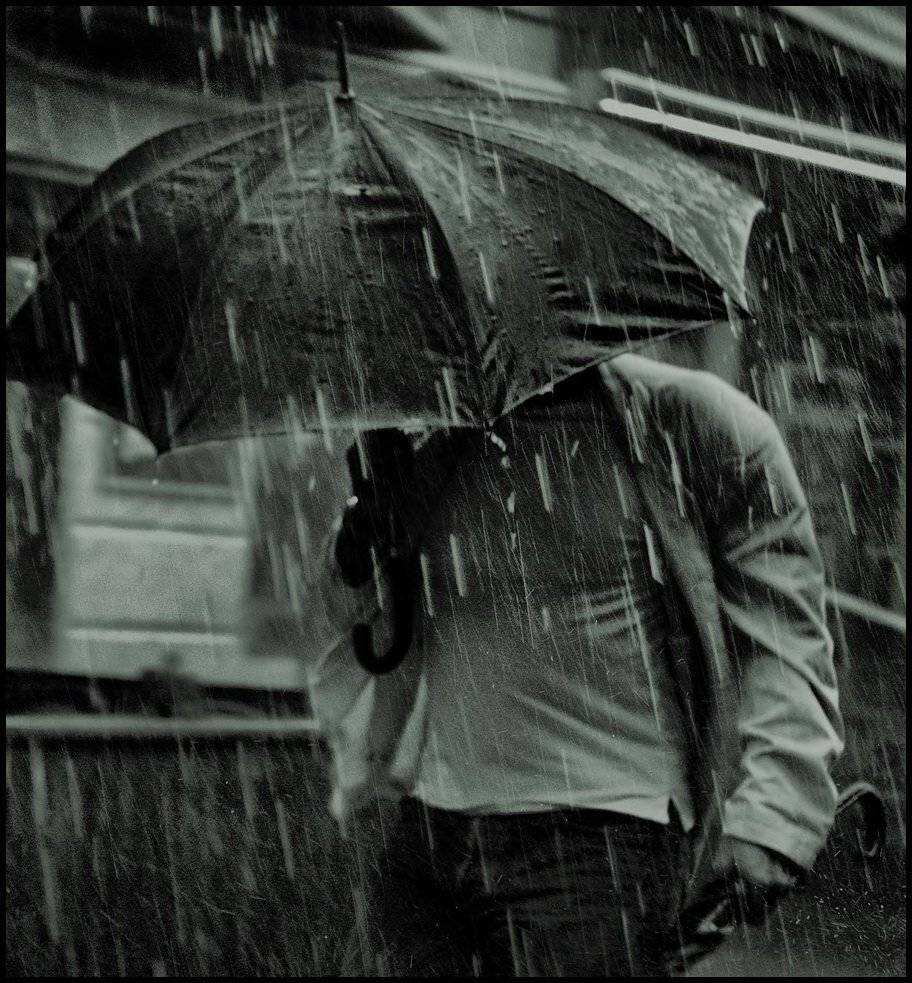 Автор: Alexey Volkov , Alexey Volkov