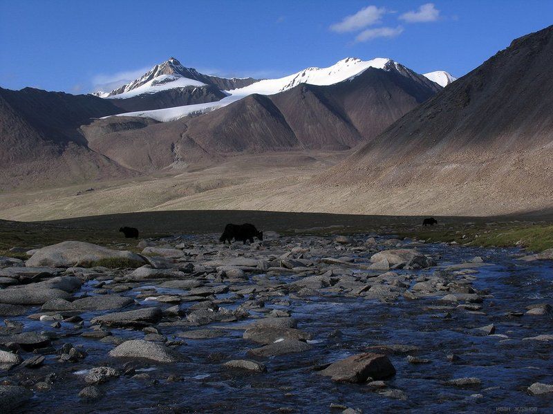 горы На водопоеphoto preview