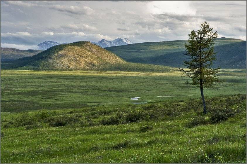 Размышление о главном.... Автор: Екатерина (PhotoJourneys.ru) Васягина саяны, ильчир, Екатерина (PhotoJourneys.ru) Васягина