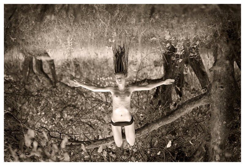 полет, во, сне, и, наяву свободаphoto preview