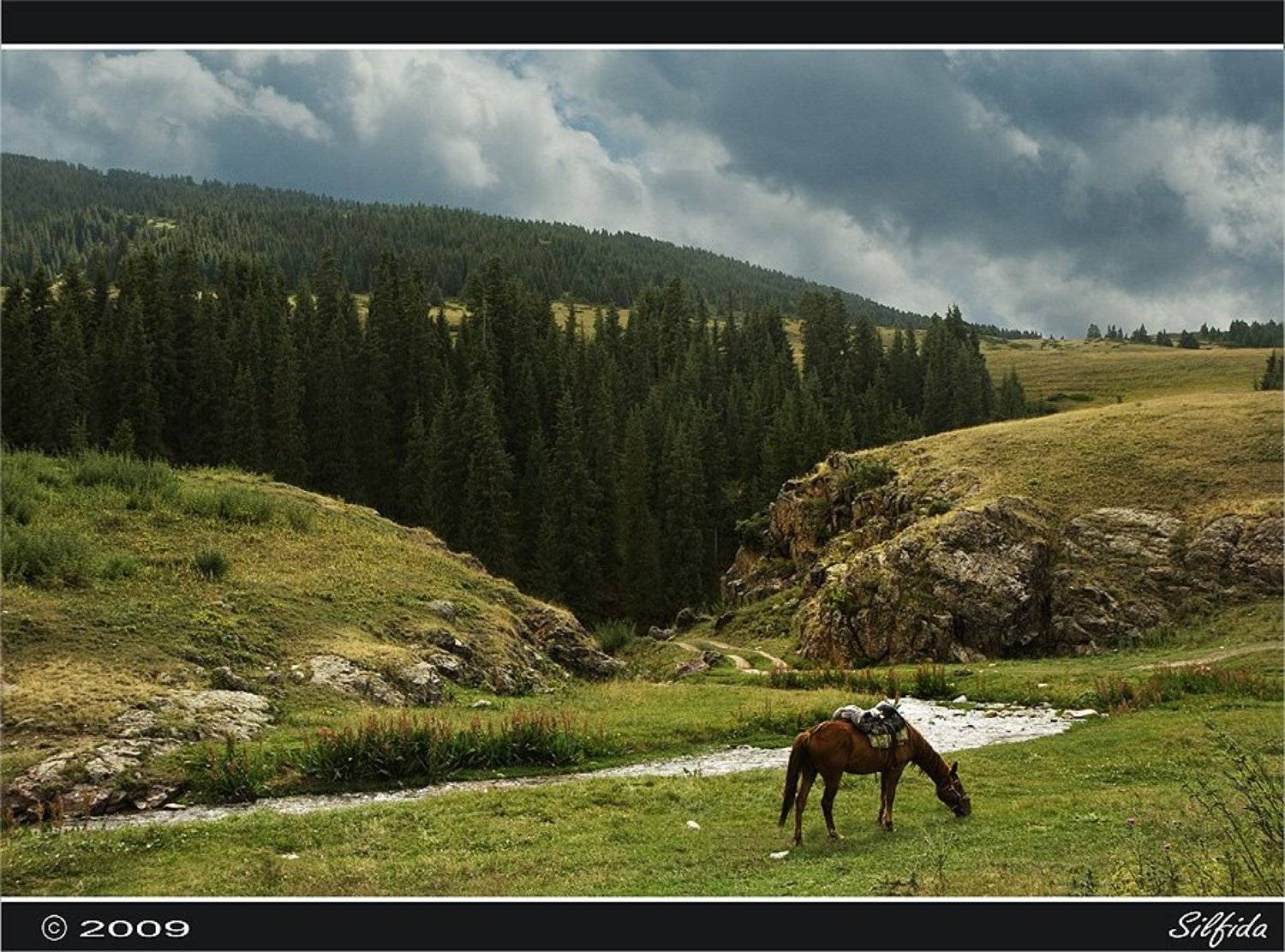 Джайляу.. Автор: Silfida природа, лошадь, горы, Silfida