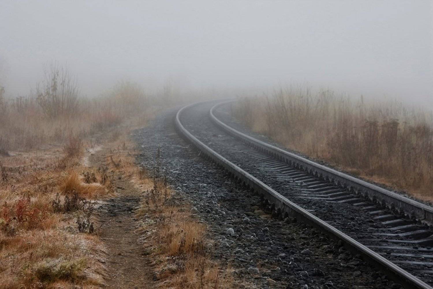 Не дождался.... Автор: Сергей Олюков , Сергей Олюков