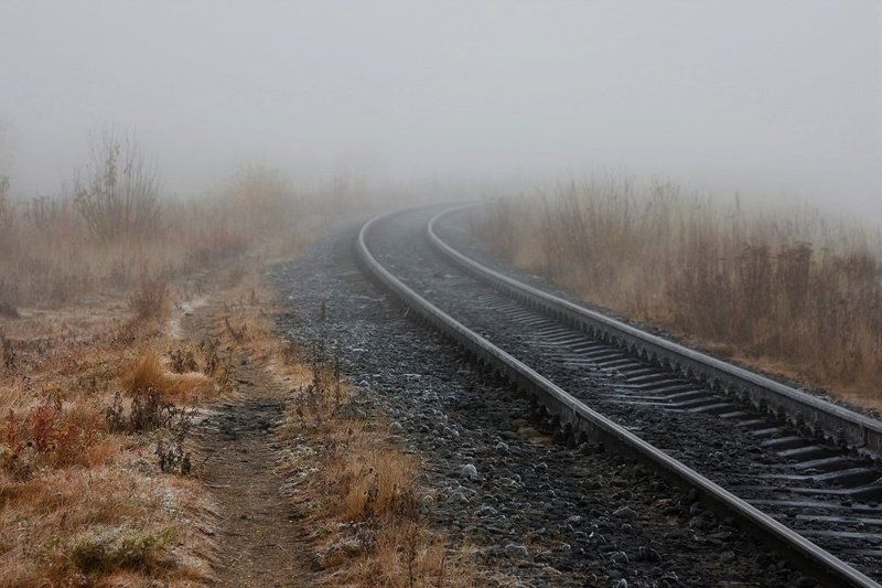 Не дождался...photo preview