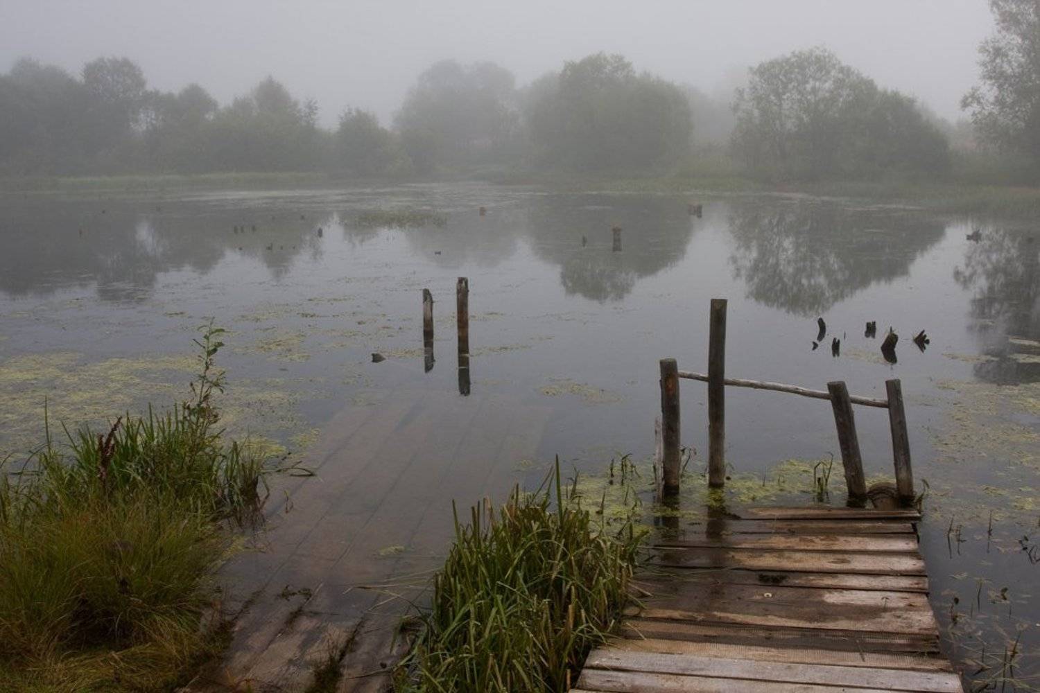 Утро на озере. Автор: Сергей Олюков , Сергей Олюков