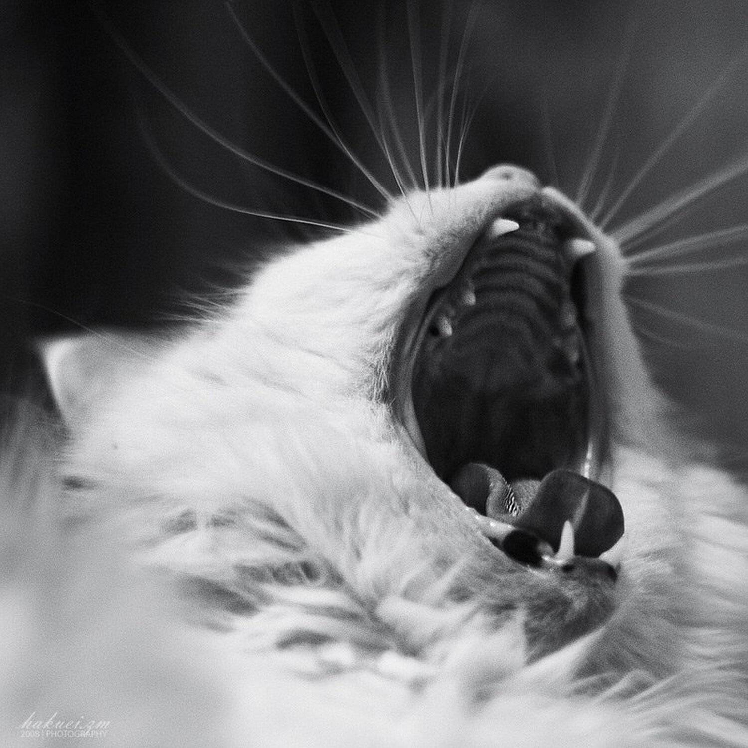 , юлия космос