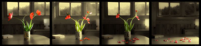 О, где же вы дни любви, сладкие сны, юные грезы весны?… Где шум лесов, пенье птиц, где цвет полей, где серп луны, блеск зарниц?photo preview