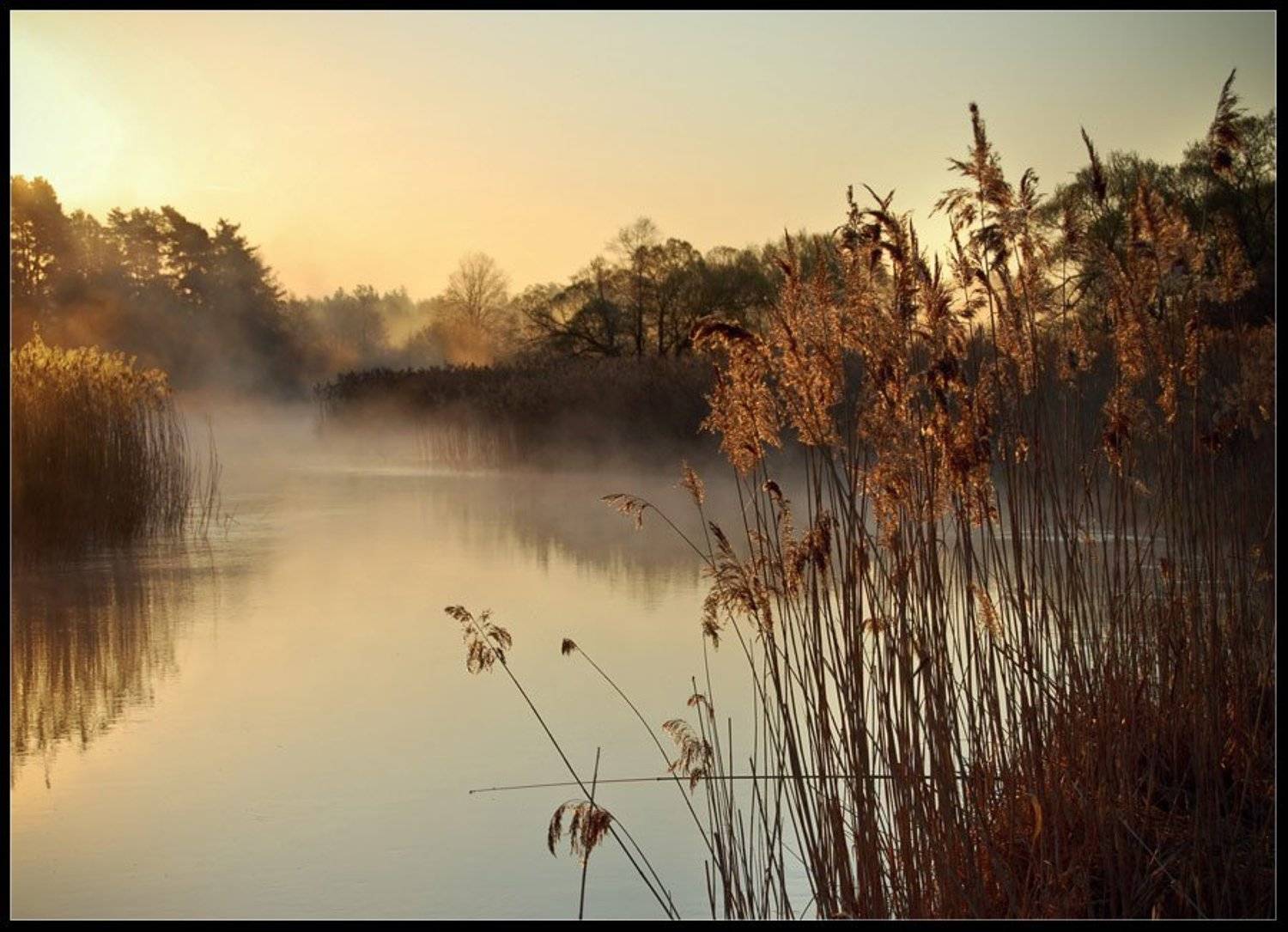 Пробуждение. Автор: Andrew Kuzmin , Andrew Kuzmin