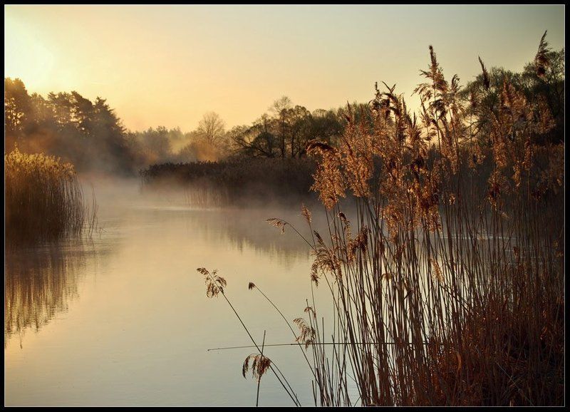 Пробуждениеphoto preview