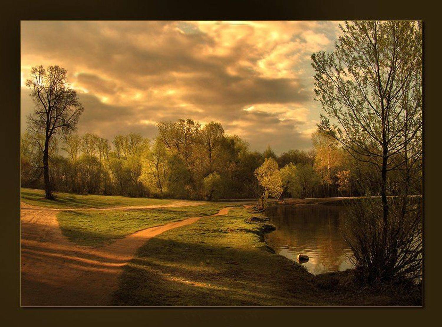 , &bull;**/ASSOL**&bull;