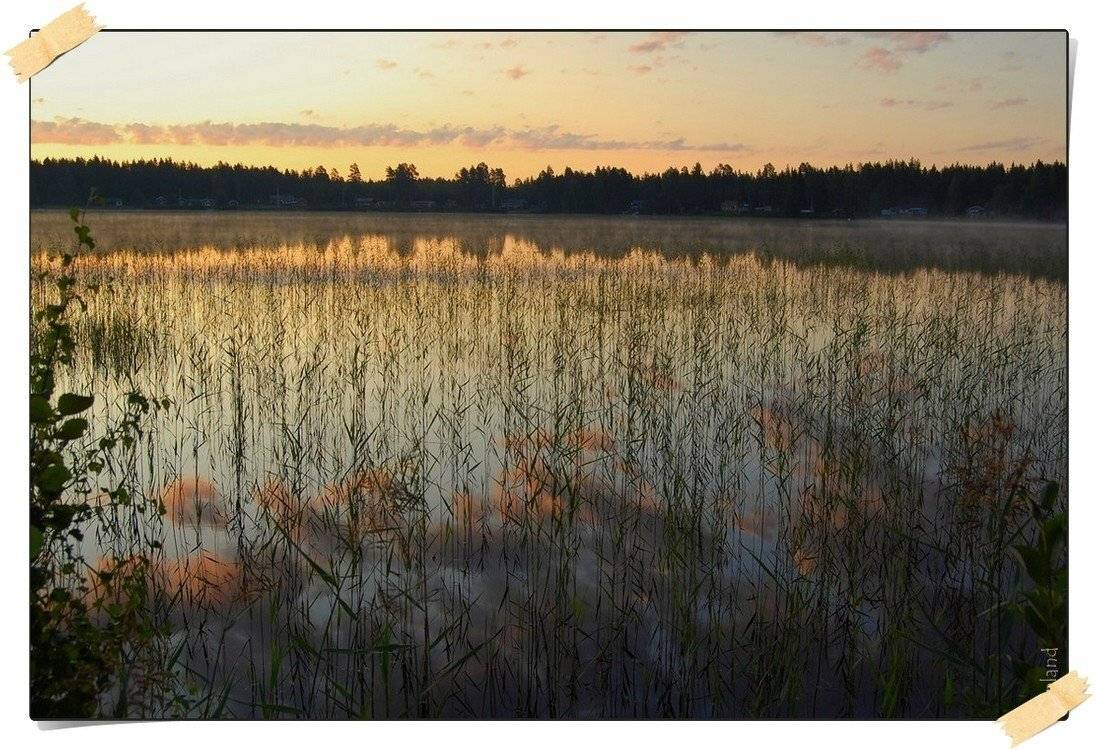 швеция,скандинавия,лапландия,заполярье,природа,пейзаж, Елена