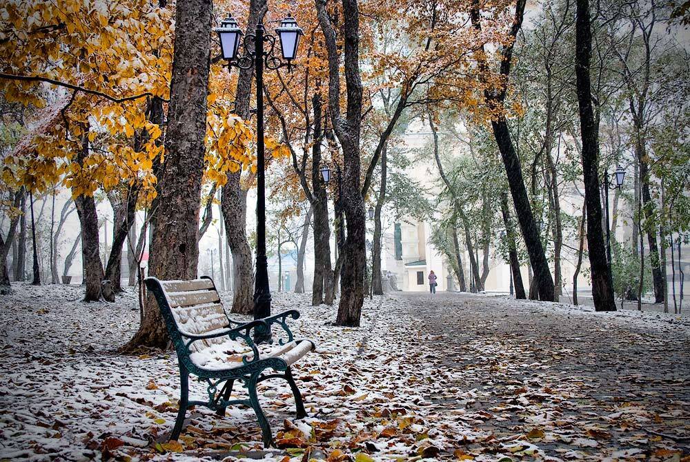 осень, парк, девушка, снег, листва владивосток, Дмитрий Корнилов