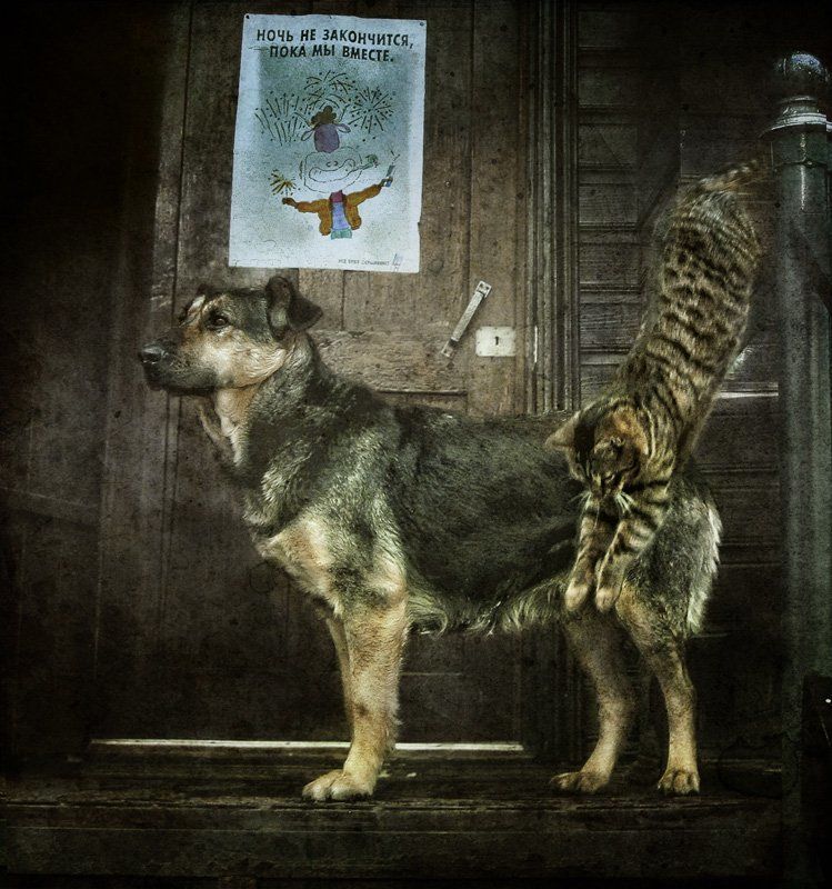 На танцы пойдем вместе...photo preview