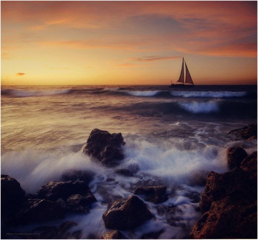 , Яна  Гайворонская