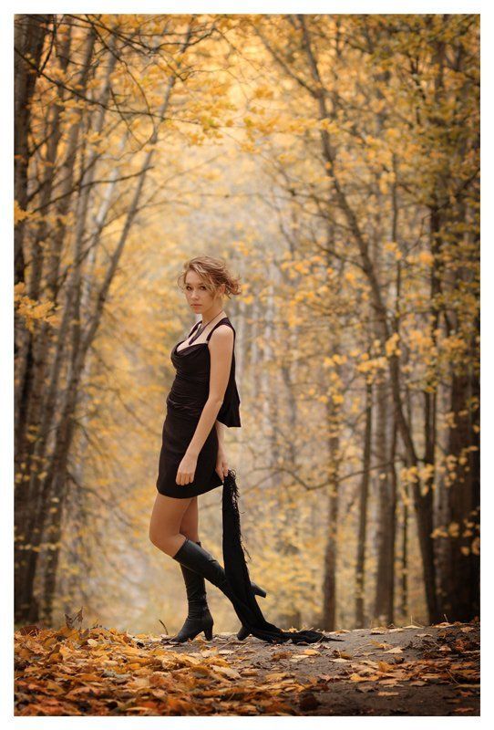 Последний ветер осени -взглядphoto preview