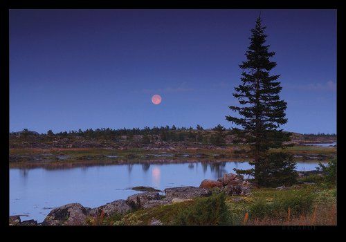 pleine lune
