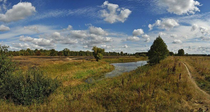 пейзаж,озеро,осень По дороге к озеруphoto preview